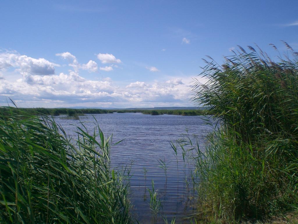 Ferienwohnungen Feldsee Illmitz Extérieur photo