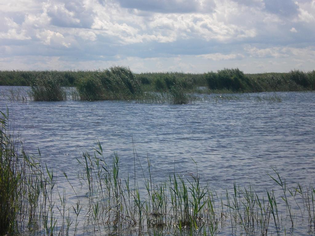 Ferienwohnungen Feldsee Illmitz Extérieur photo