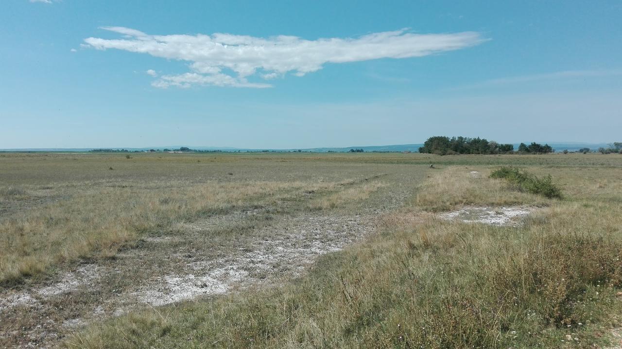 Ferienwohnungen Feldsee Illmitz Extérieur photo