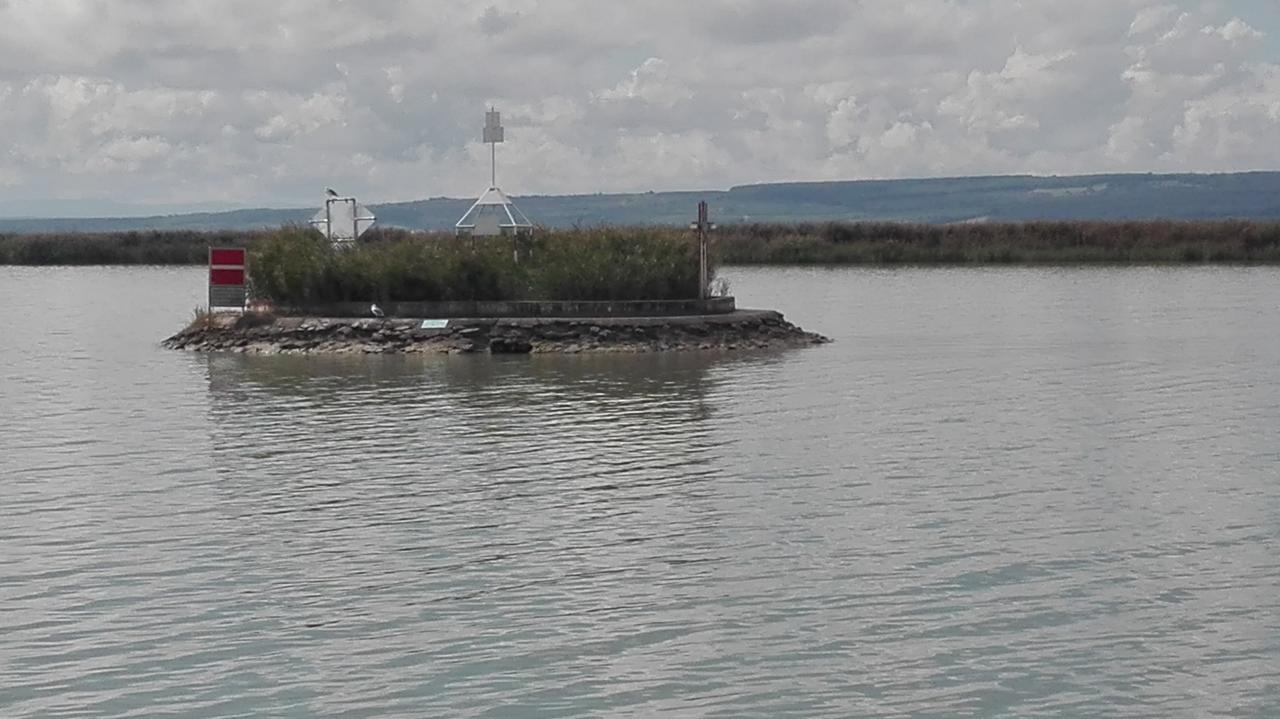 Ferienwohnungen Feldsee Illmitz Extérieur photo