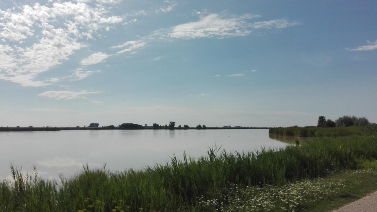 Ferienwohnungen Feldsee Illmitz Extérieur photo